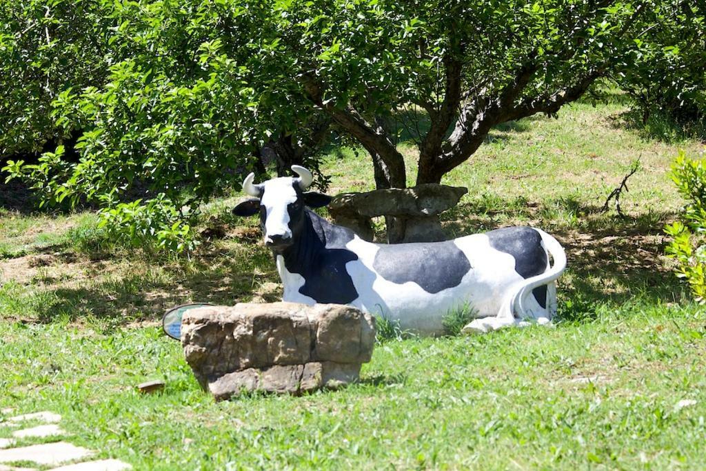 Holiday home Ginestra A 