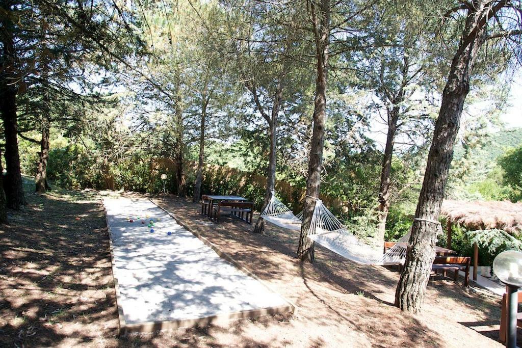 Ginestra A 