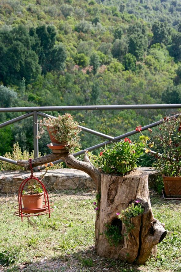 Ginestra A 
